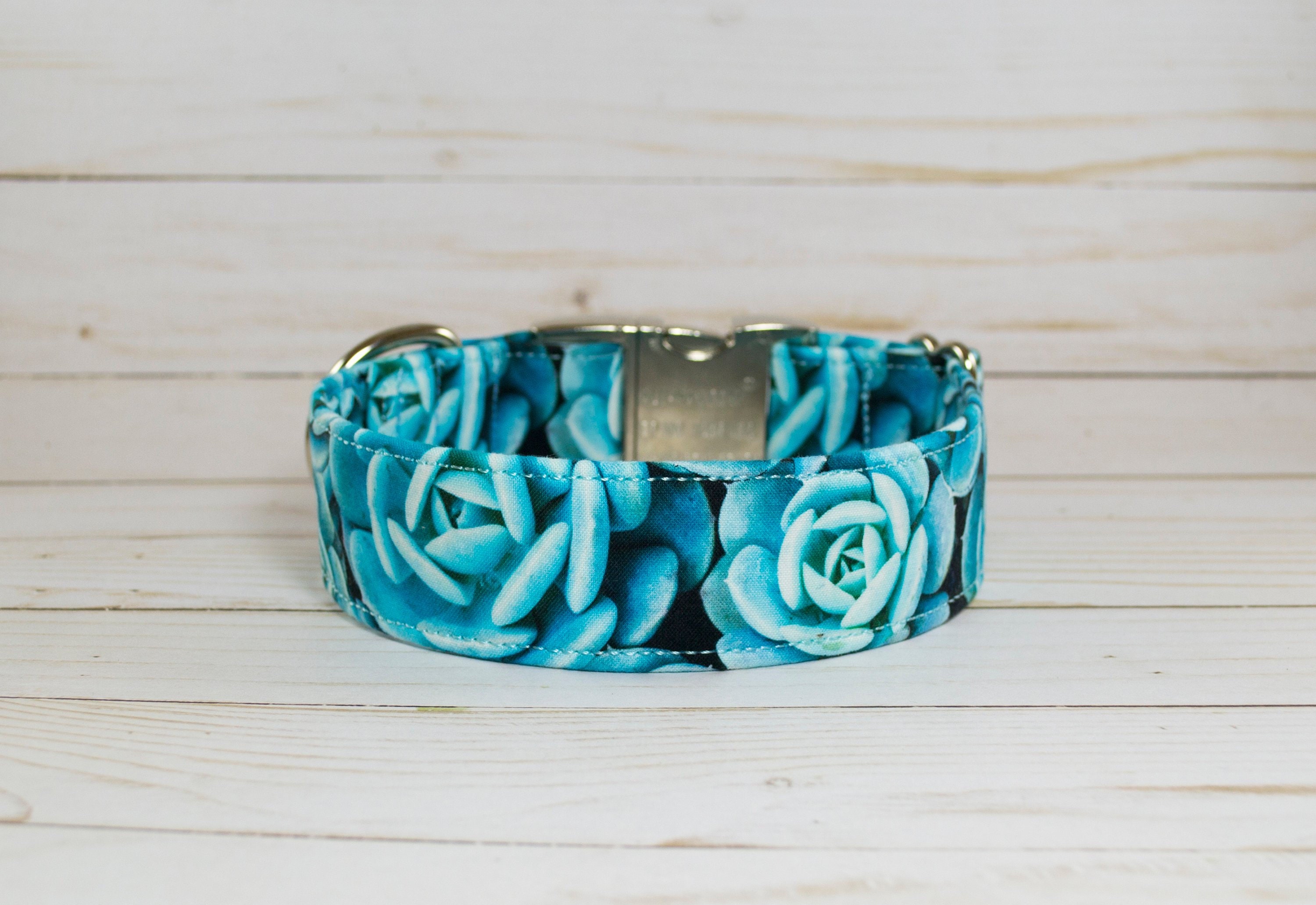 succulent dog collar