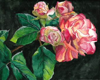 Portland Roses -- Fine Art Giclee Print