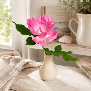 May include: A vibrant pink rose in a small, cream-colored vase. The flower has multiple petals and is surrounded by green leaves. The vase sits on a distressed white wooden surface, with a book and a white pitcher in the background.