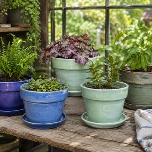 May include: A collection of five ceramic plant pots with matching saucers in shades of blue, light green, and sage. The pots feature a smooth, glazed finish and are arranged on a wooden surface, each containing a different green or purple plant.