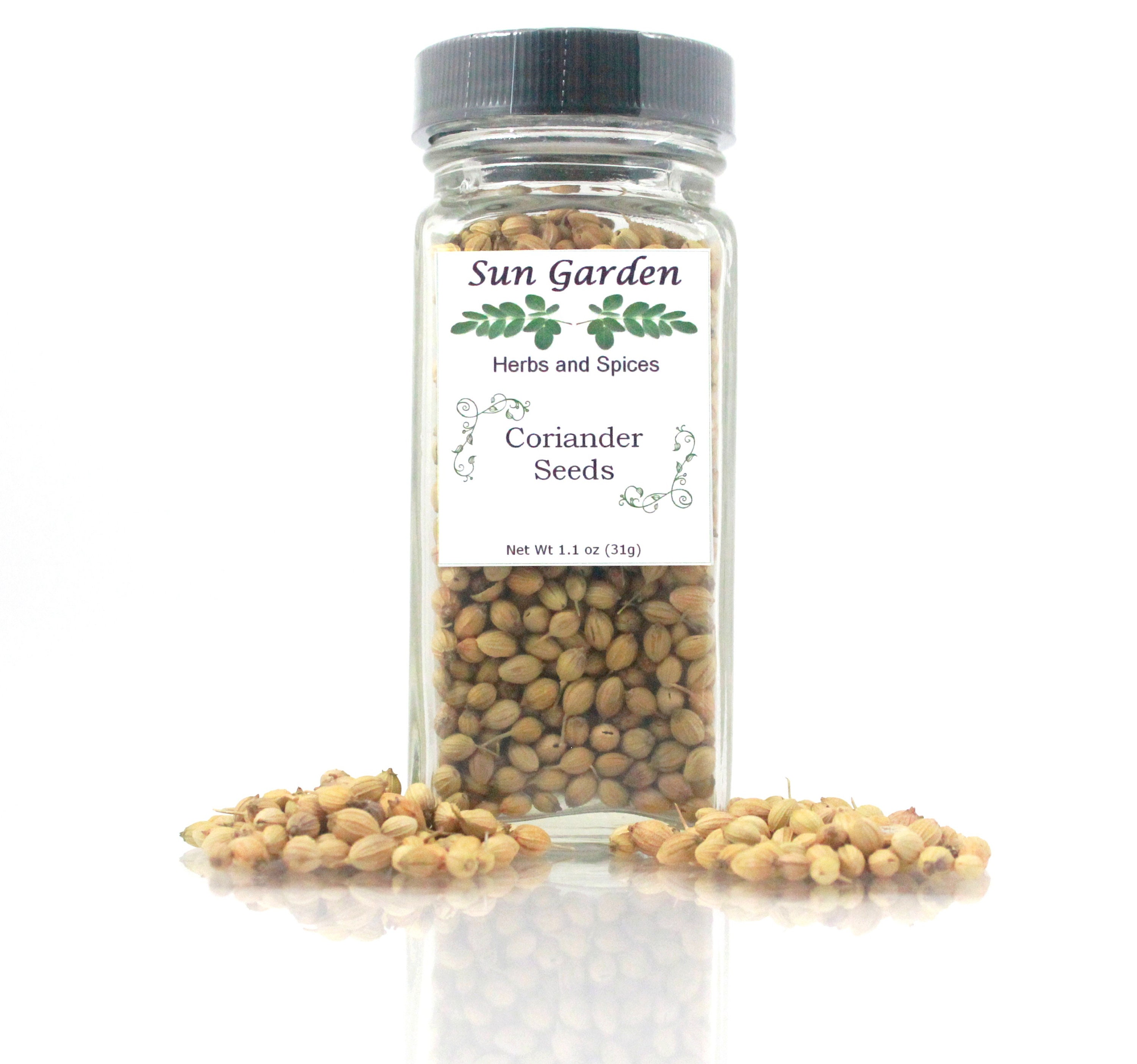 Coriander Seeds Spice Jar Sun Garden Hierbas y Especias 1.1 oz Etsy