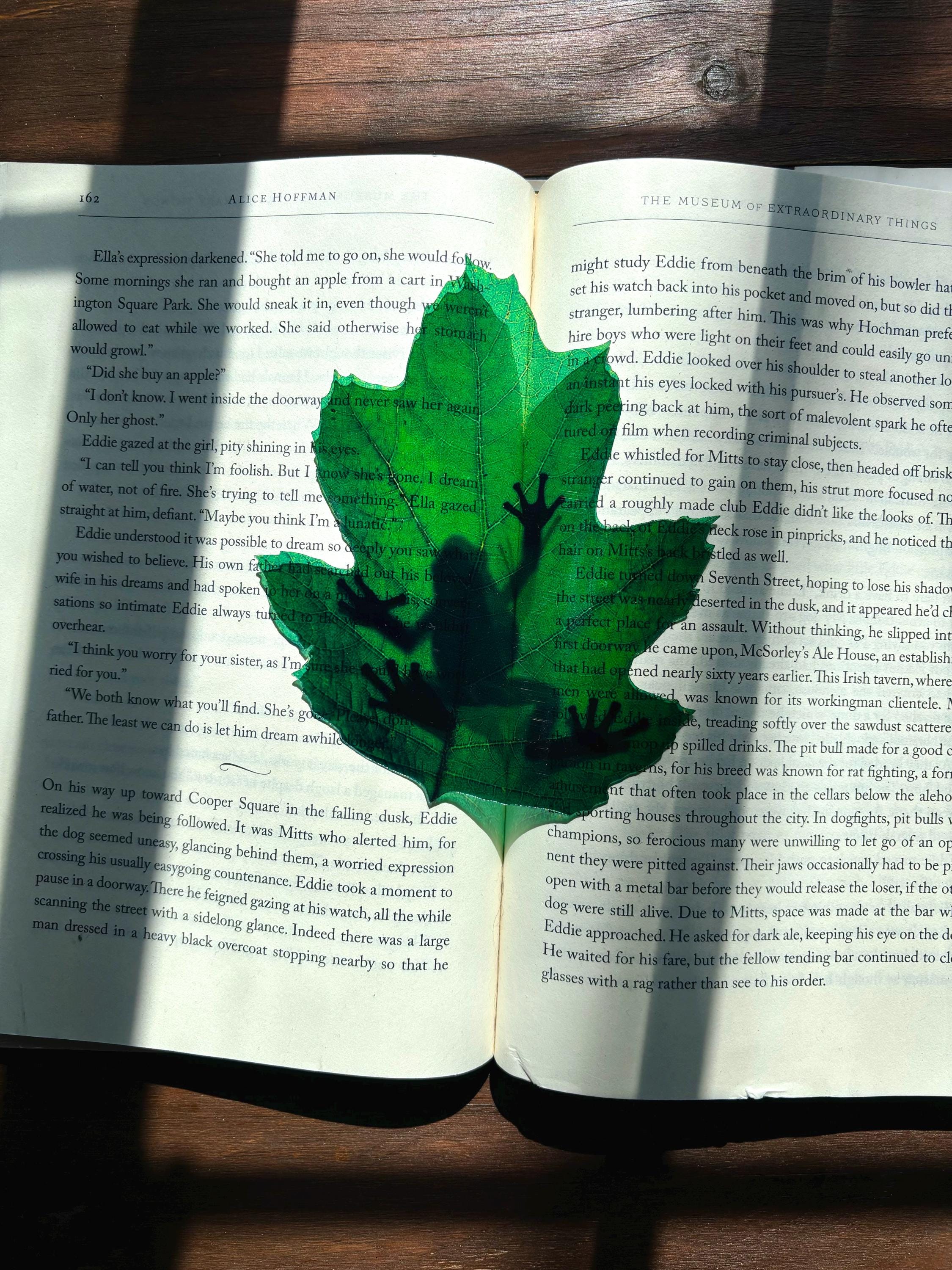 Tree Frog Transparent Bookmark | Clear Bookmark | Gift for Booklovers ...
