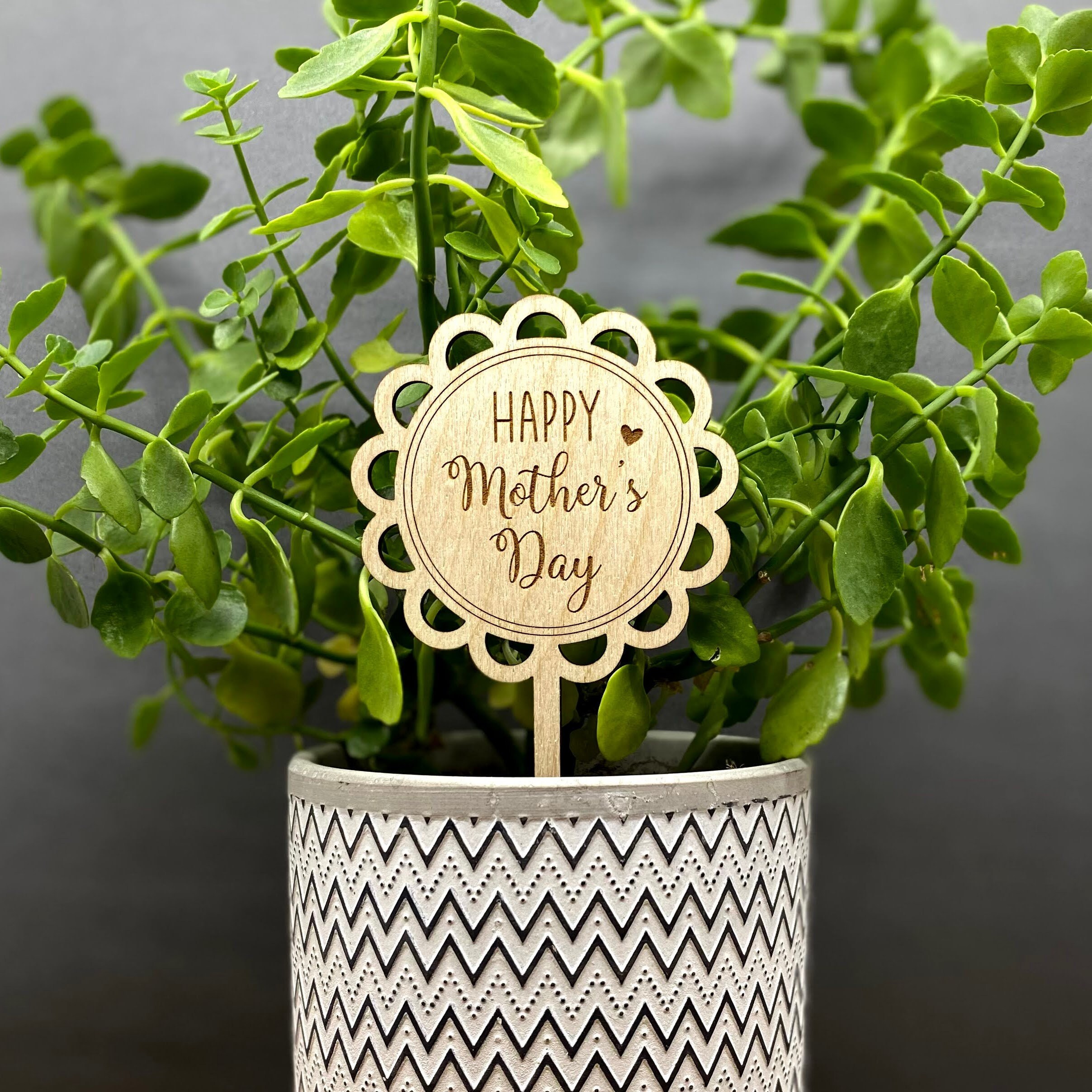 Lowes Mothers Day Plants - b84tsux