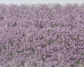 O Scale Model Railroad Static Grass Tufts 6mm - Dry Brown Color For Miniature Basing & Model Scenery The Grass Arena - Foto 2