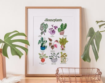 Houseplant Art Print, Indoor Plant Poster, Illustrated Plant Art Print, Bright Plant Art Print, Leaf Print