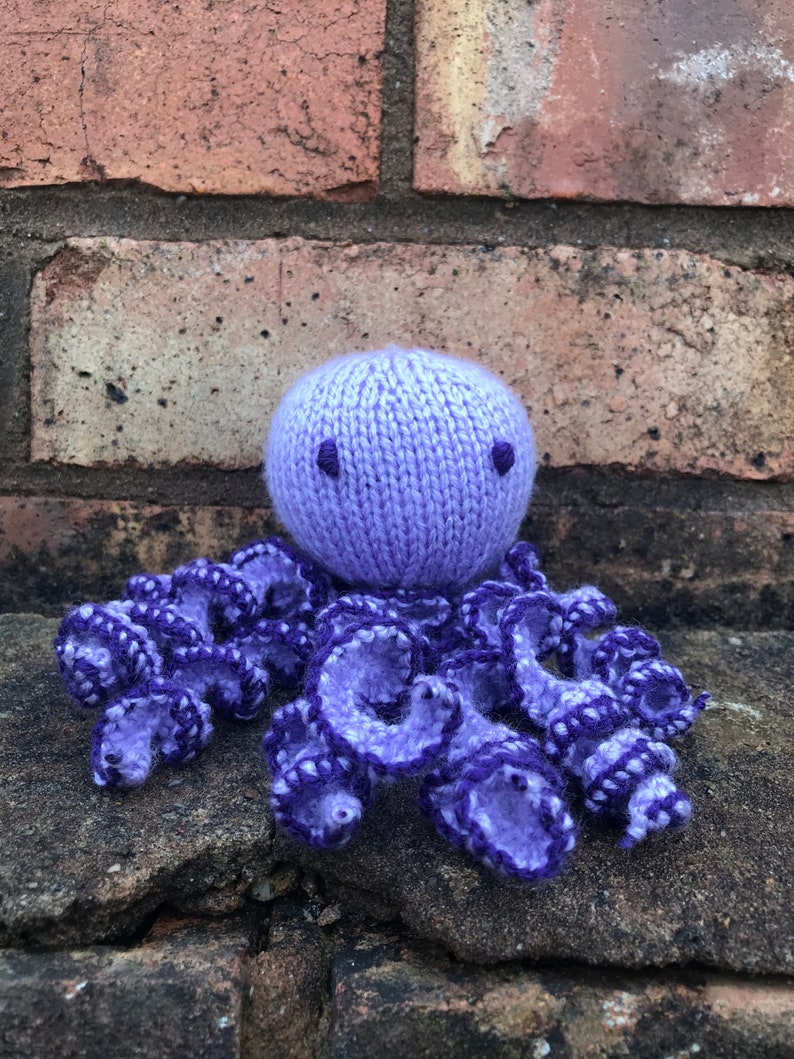 sensory octopus