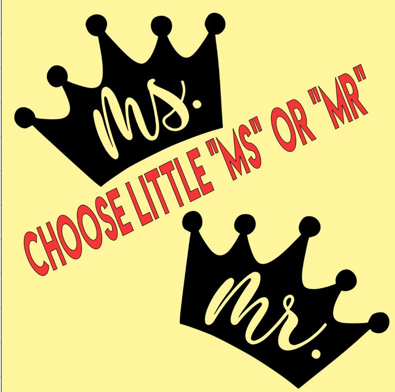 Little Ms or Mr ONEderfulIron-OnOnesieToddler Shirt