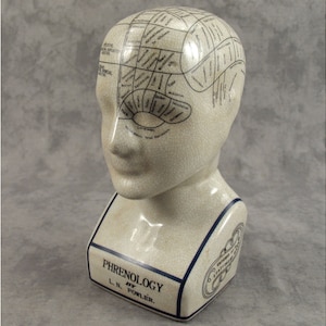 PHRENOLOGY HEAD by L.N. FOWLER Porcelain Ceramic Bust