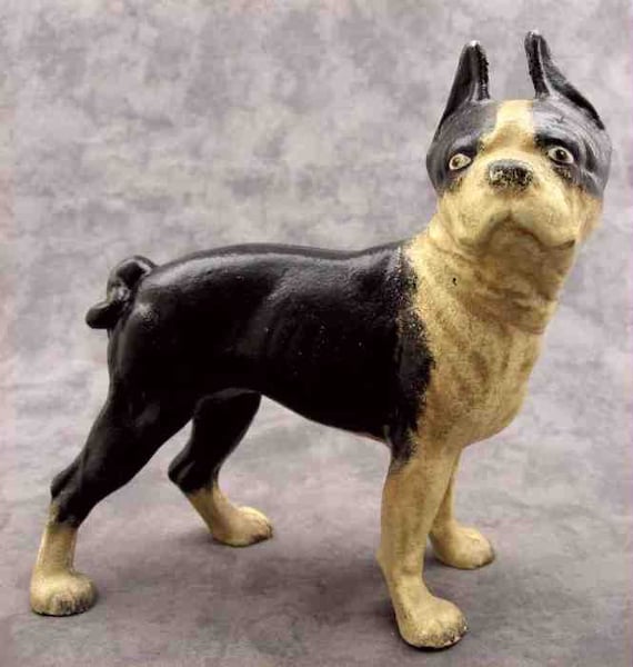 BOSTON TERRIER Bull Dog Cast Iron Heavy Doorstop Bank STATUE Etsy