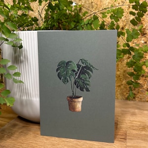 Impresión de plantas postales - Planta Monstera