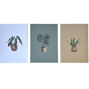 Postales de plantas - juego de 3