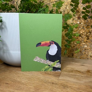 Toucan Postcard