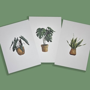 Postales de plantas en blanco - set de 3