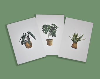 Plant postcards on white - set of 3