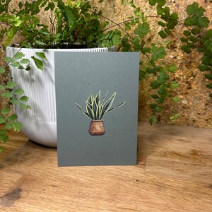 Impresión De Planta Postal - Planta Serpiente