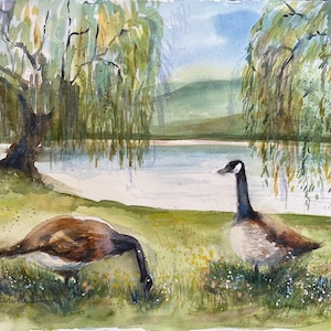 Watercolor Painting: Canadian Geese and Dandelions - Willow Tree Pond (16”x20” matted)