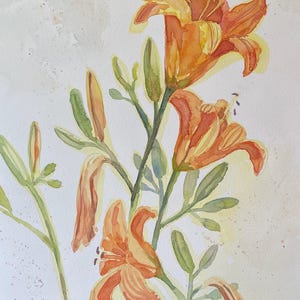 Orange Daylilies and Stems (16”x20” matted/11”x14” Unmatted)