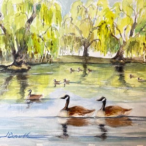 Canadian Geese on Willow Tree Pond (20”x16” matted/11&quot;x14&quot; unmatted)