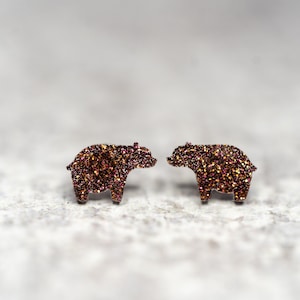 Adorable Chubby Bear Earrings, Wildlife Earrings, Black Bear, Polar Bear Earrings, Grizzly Bear Studs