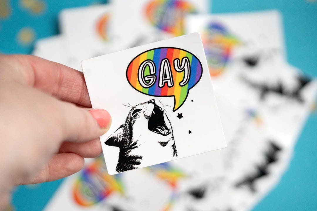 Rainbow Cat Pride Sticker: Say Gay Waterproof LGBTQ Vinyl Decal - Etsy