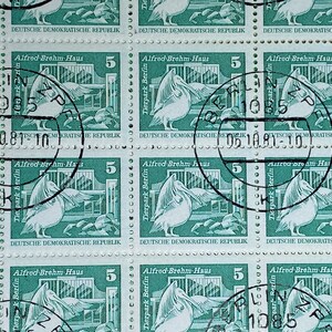 Stamp Art, Verde, Tierpark Berlin, Alfred Brehm Haus, 5 Marchi, DDR, francobolli usati