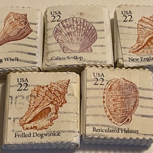 Stamp Art, Muscheln, 5 verschiedene Arten, 25 Stück aus den USA, gestempelt 25 cent