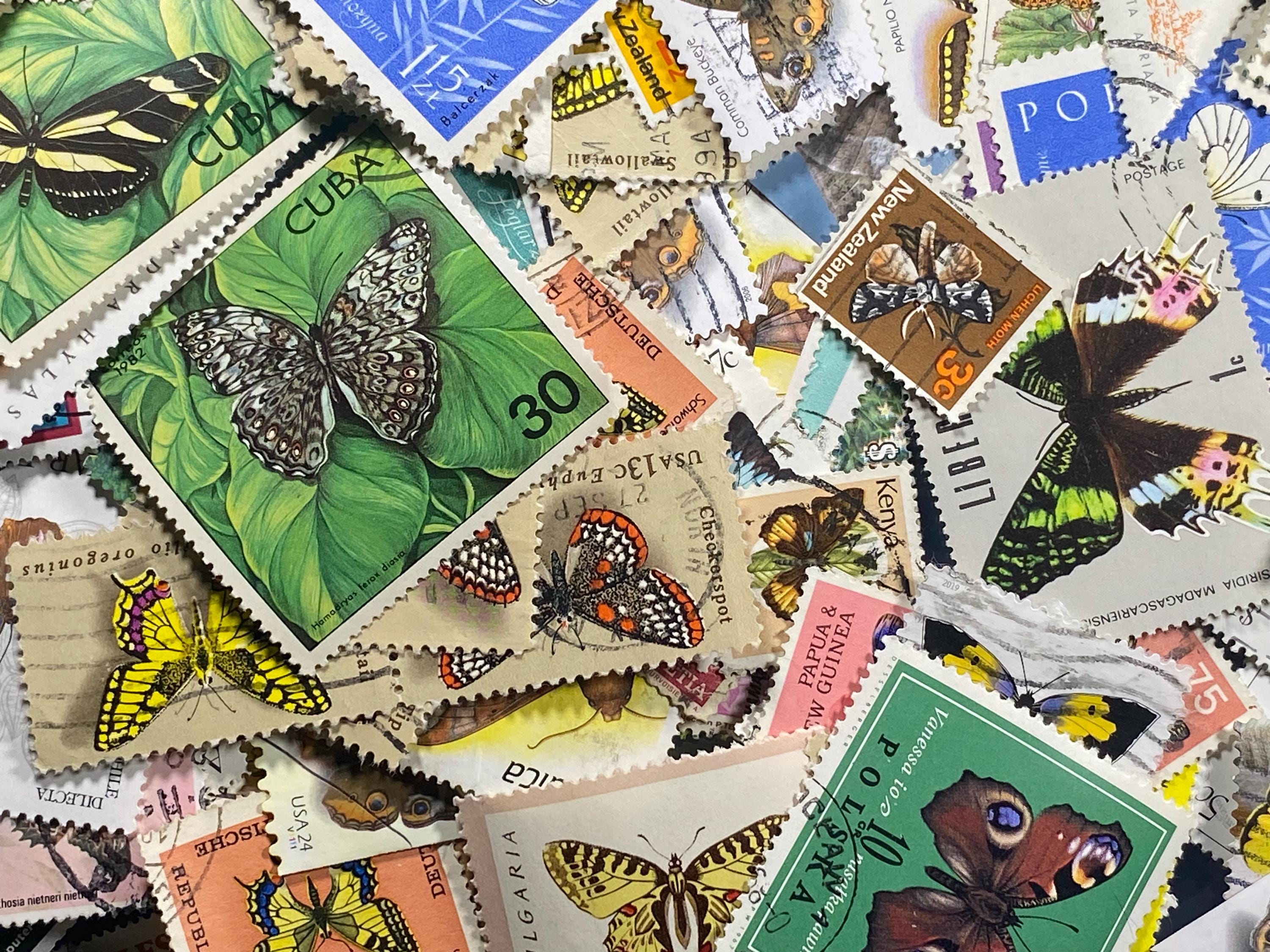 切手18 Citizen Nissan Fairlady Z Men's Black Watch - AT818589E for sale