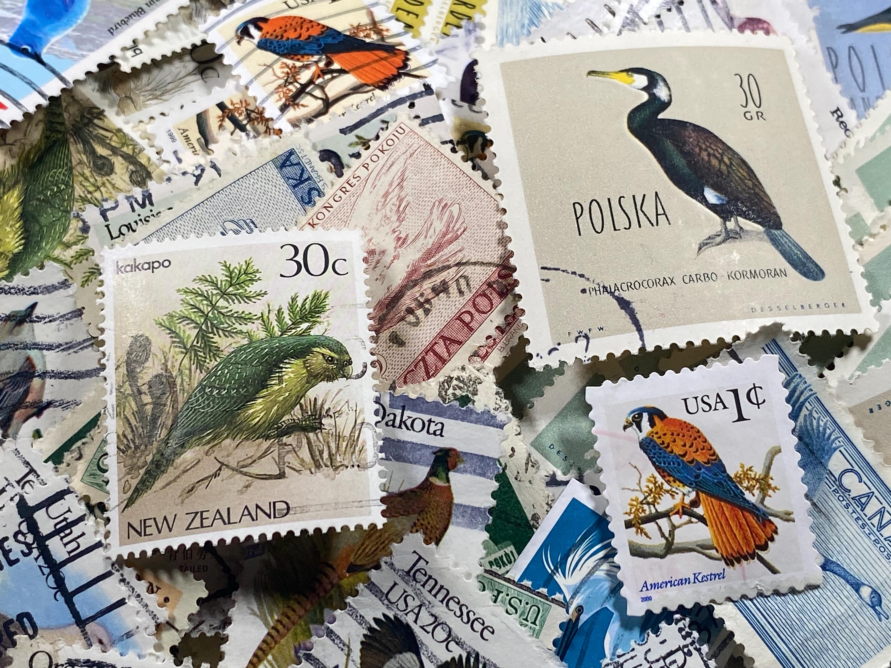 Vintage Topical Bird Stamps - 50 Different Stamps 1960's - 1990's