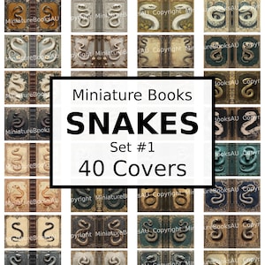 Puede incluir: Un conjunto de 40 cubiertas de libros imprimibles con serpientes. Las cubiertas son de varios colores y diseños, algunas con detalles dorados. El texto "Miniature Books SNAKES Set #1 40 Covers" está impreso sobre un fondo blanco.
