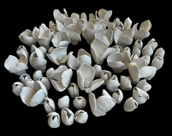Sculptuur van klei van biologische zee-egels – met de hand gevormde keramische bloemenmuurkunst