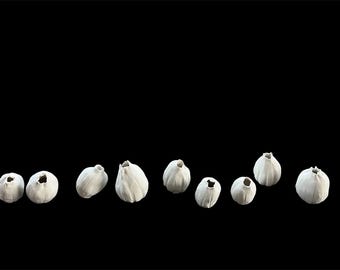 Handgemaakt wandsculptuur van klei met klaproos – 9-delige biologische Wabi-Sabi-kunst