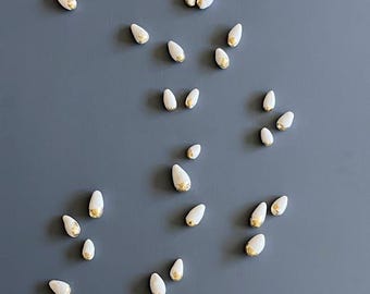 Pussy Willow Catkins  Flower Grouping Set - 30 Catkins -  Modern  Abstract Artistic Clay Flower | Handmade Ceramic Art