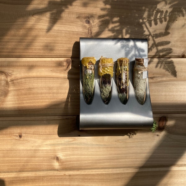 Steel wall mounted/table top test tube rack