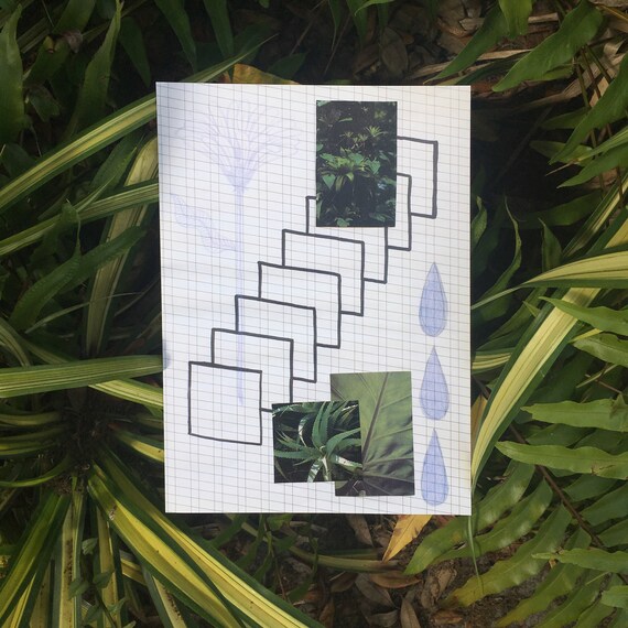 Tiers Art Print Multimedia Collage Drawing Nature Minimal Etsy