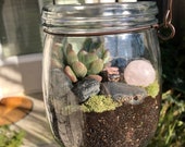 Terrarium(Custom with crystals)