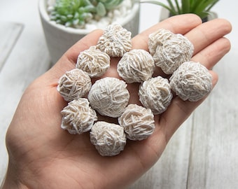 May include: A collection of 10 white rose quartz crystals, also known as desert roses, in various sizes and shapes. The crystals are arranged in a hand, showcasing their delicate, layered structure.