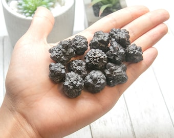 May include: A handful of dark, textured, spherical stones. The stones are a deep, charcoal color and have a rough, irregular surface. The stones are held in an open hand, with a blurred background of white and green plants.