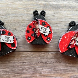 May include: Three wooden ladybug ornaments with black and red paint and white polka dots. Each ladybug has a small sign attached with a different saying: "Simply Beautiful", "Ladybug Hugs", and "Little Ladybug".