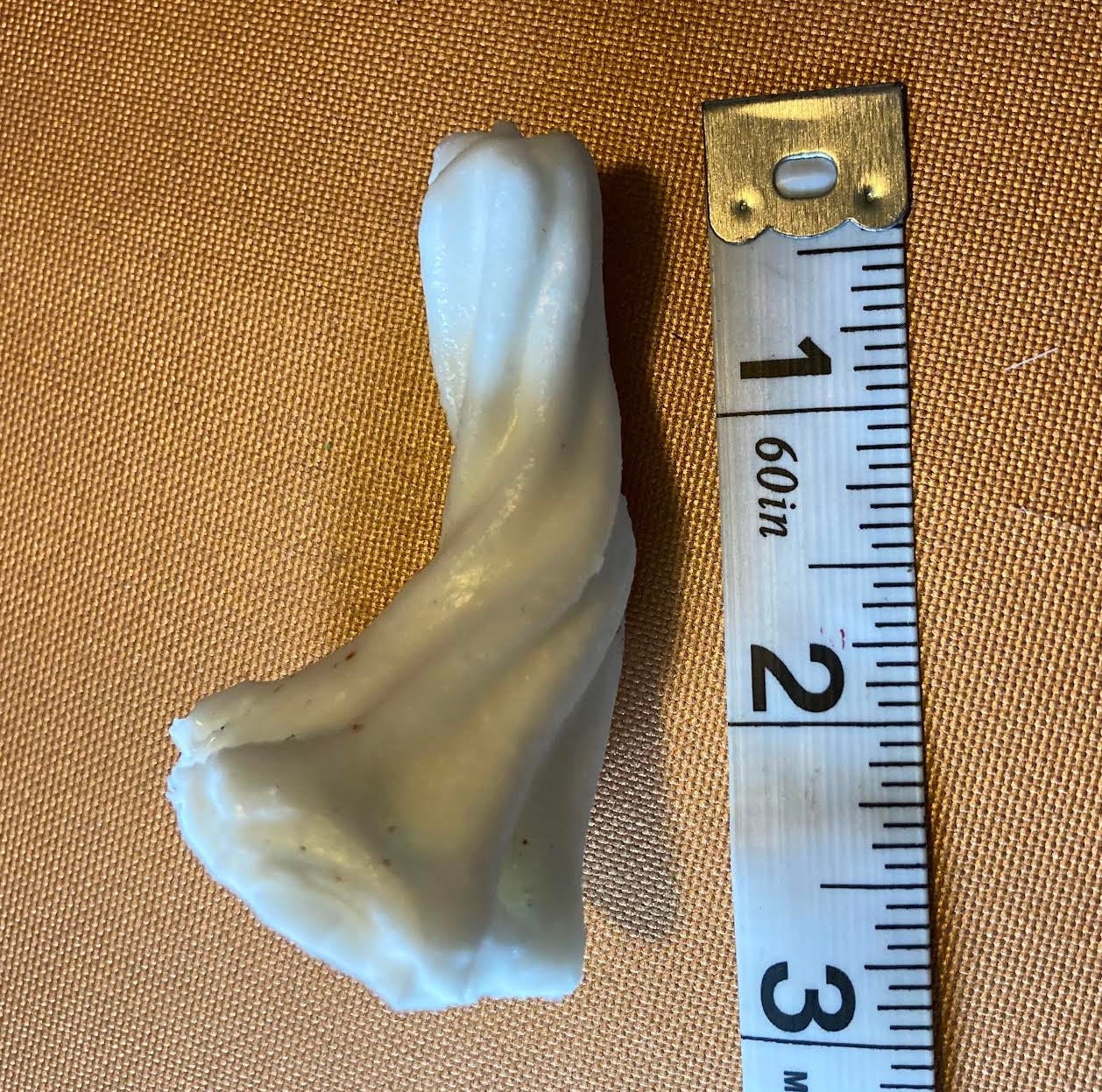 Realistic Medium Pumpkin Stem Silicone Mold