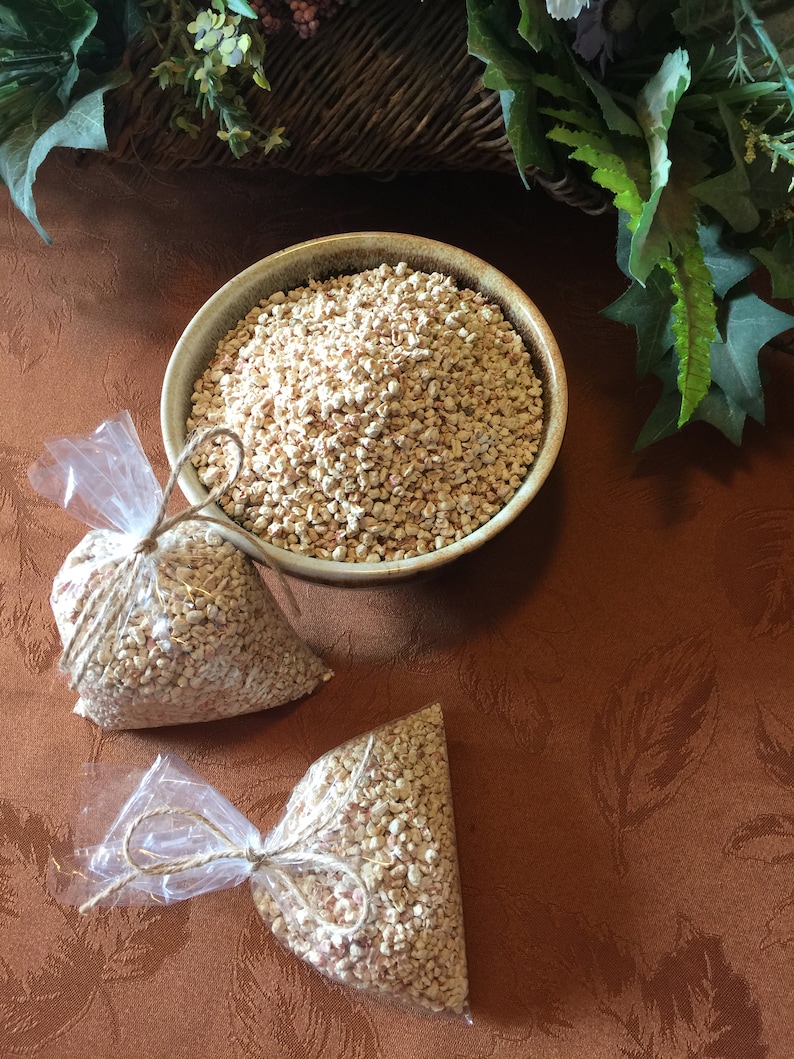 Primitive Faux Nuts for Crafts Fake Nuts for Crafts Nuts for Etsy