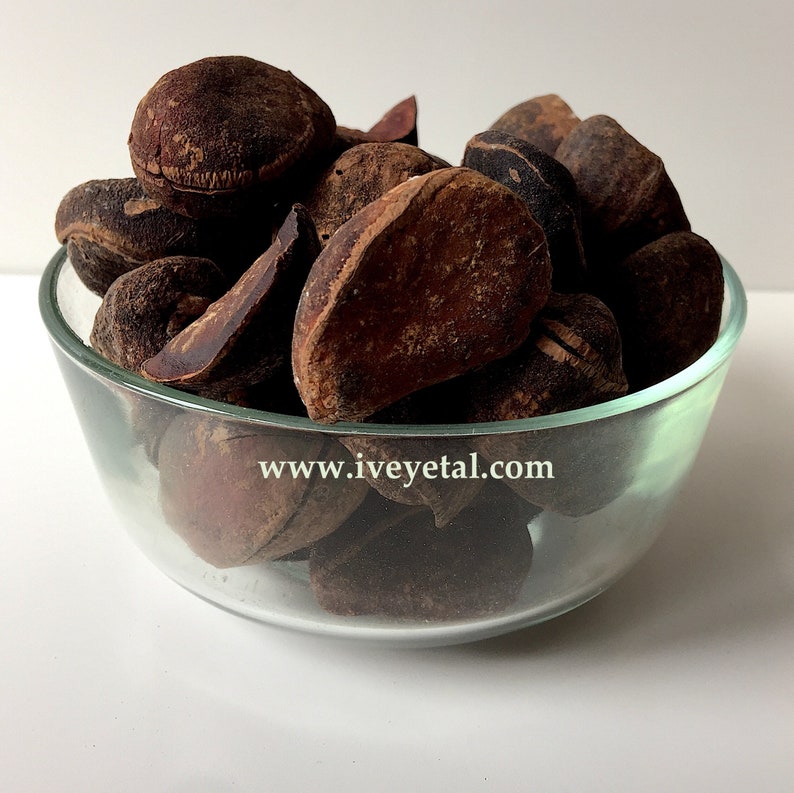 Dried Jamaican Bissy Kola Nut Etsy