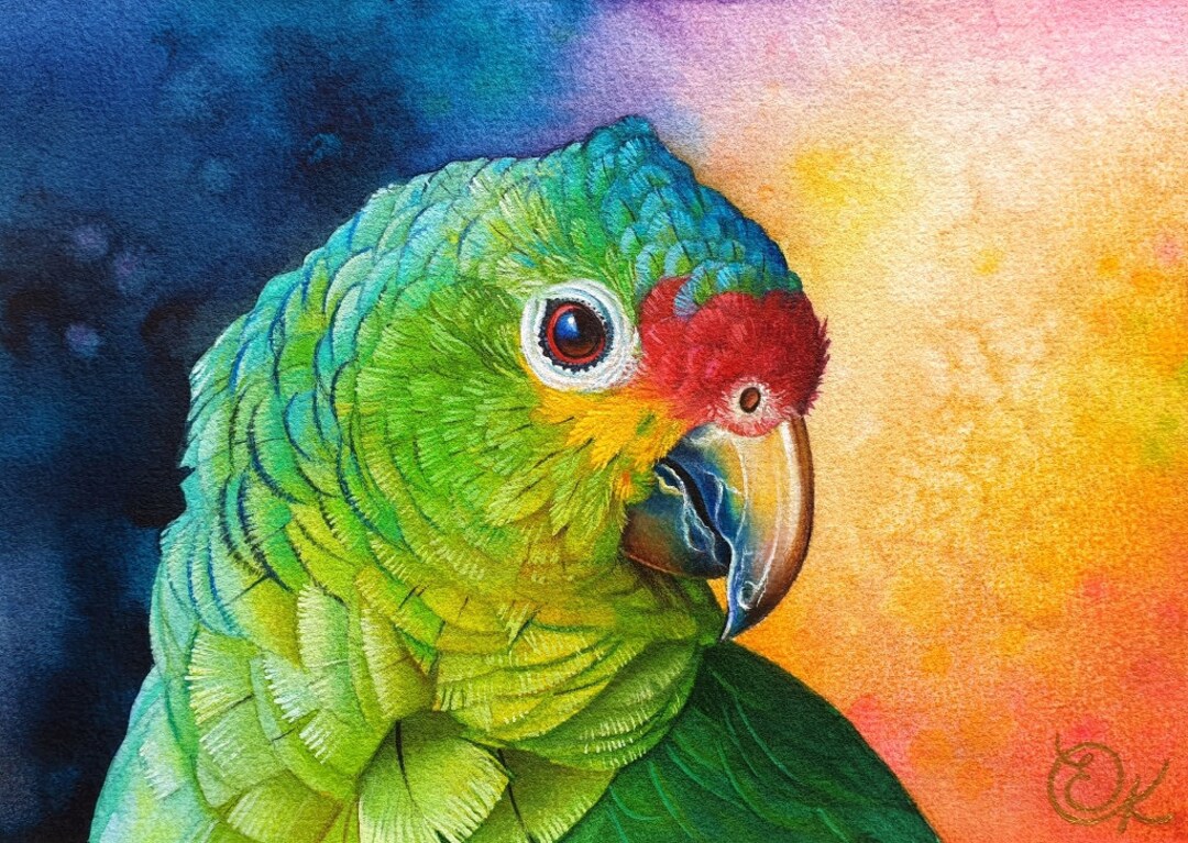 Red Lored Amazon Art Print Photo Paper Poster, Green Parrot Watercolour