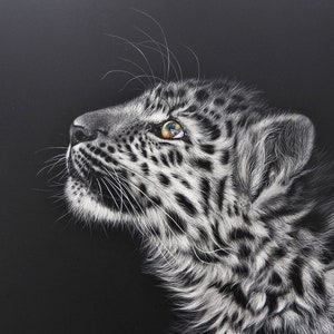 Stampa artistica di un cucciolo di leopardo, poster con ritratto di un gatto selvatico, riproduzione su carta fotografica, arte murale della fauna selvatica