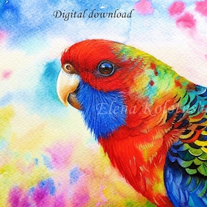 Crimson Rosella Digital File for Art Print, Australian Parrot portrait, Bird Watercolor Painting Instant Download A4, A3