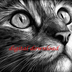 Tabby Cat Digital File for Art Print, Cat&#39;s Face Printable Reproduction, Scratchboard Art Instant Download A4
