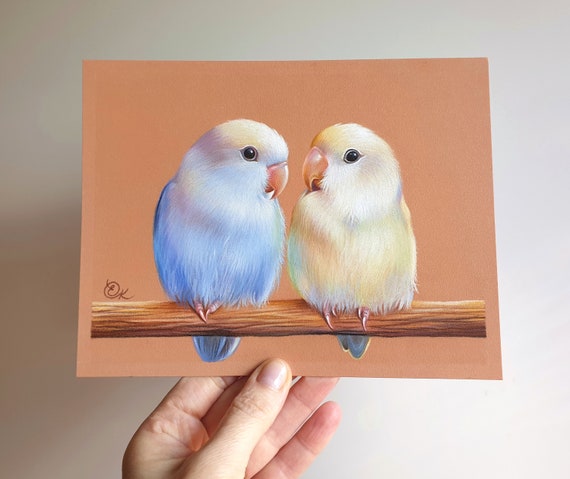 How to draw love birds easy / birds drawing / love birds drawing - YouTube