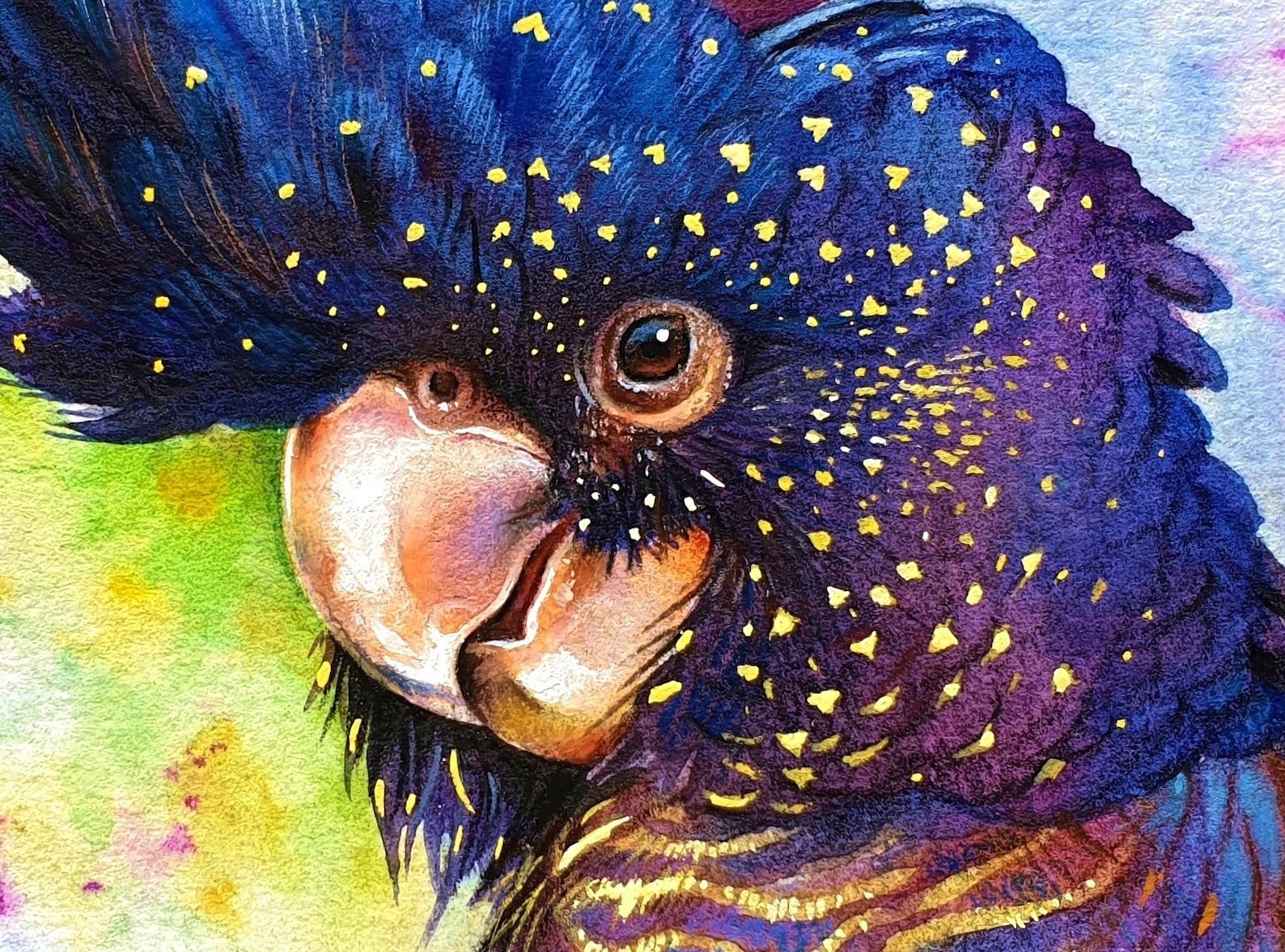 Black Cockatoo Digital File For Art Print Australian Parrot Portrait black-cockatoo-digital-file-for-art-print-australian-parrot-portrait
