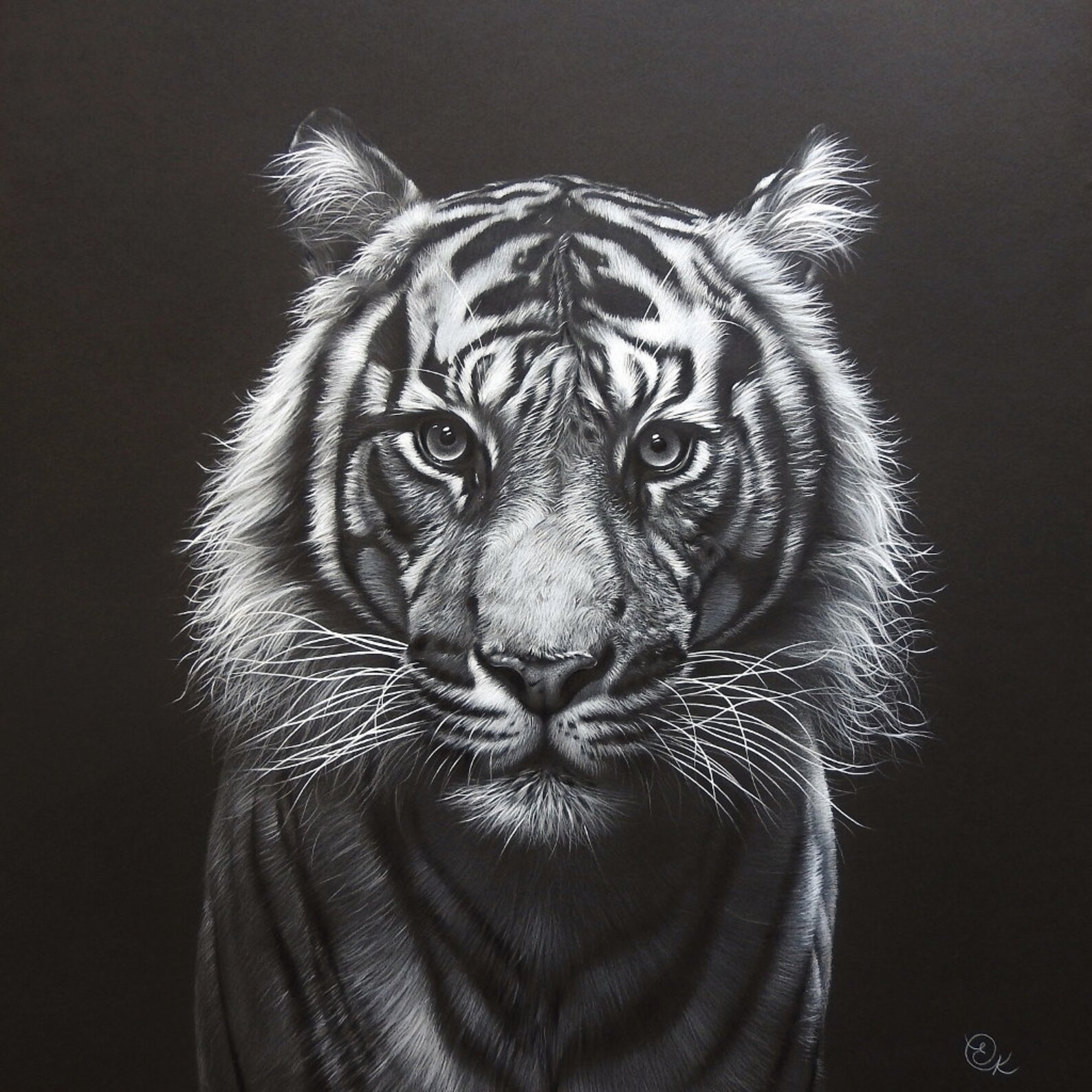 Sumatran Tiger Fine Art Print Edición limitada en blanco y Etsy España