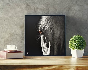 Art Picture Poster Photo Print 2HRS Close Up Mouth Open Horse 