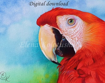 Scarlet Macaw Digital File for Art Print Red Parrot Portrait Watercolor Bird Wall Art Painting Instant Download A3